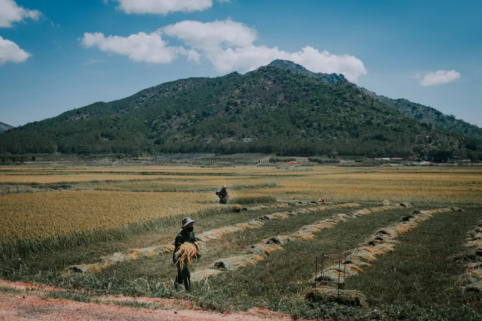 Kho gạo của Nguyễn Thị Thuận